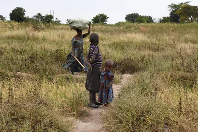 DSC_3149 (Large).JPG